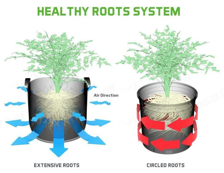 Factory Directly 5 Gallon Grow Bag With Handle