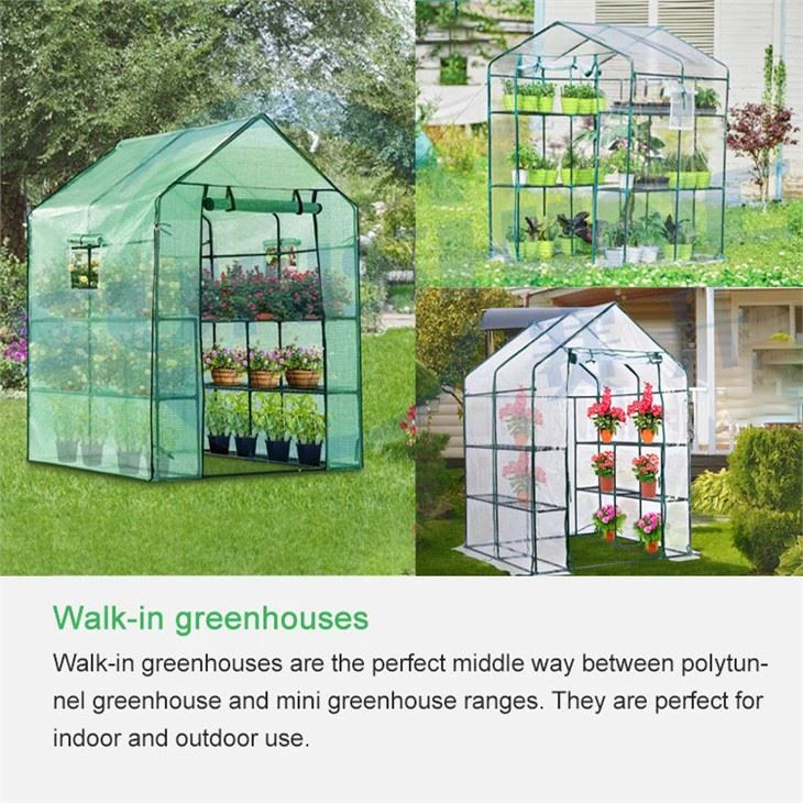 walk-in mini greenhouse (1)